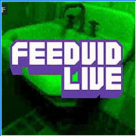 FeedVid Live